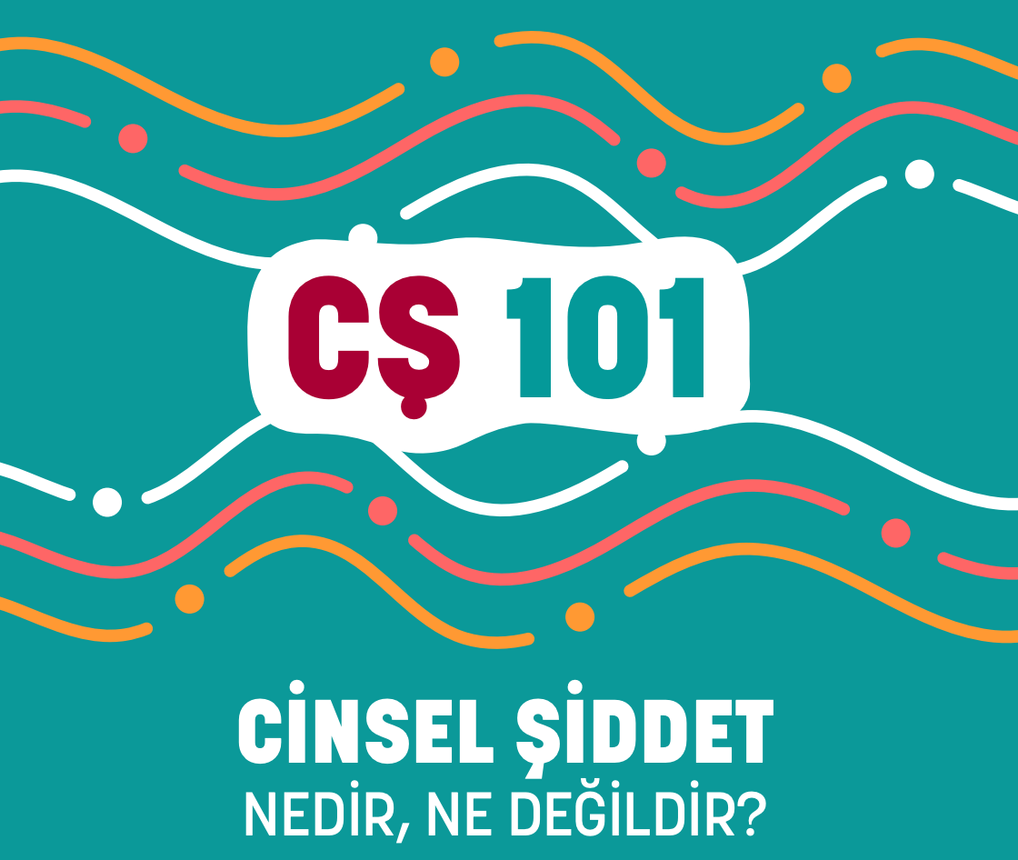 Cinsel Şiddet 101 kitapçığı yayında